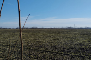 A plombákról általában