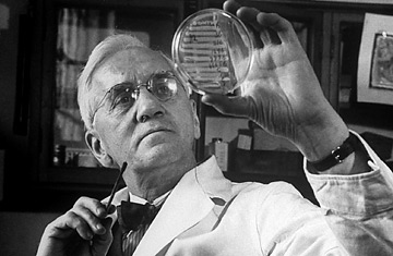 Alexander Fleming.jpg