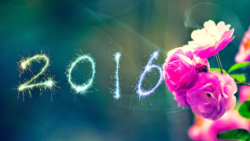aa11happy-new-year-3d-hd-wallpaper-photos-2016-5.jpg