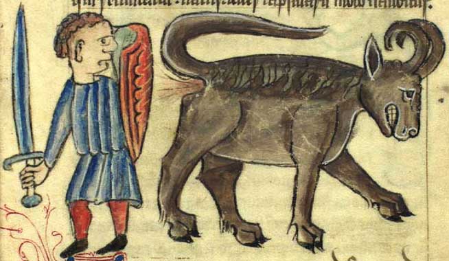bonnacon1.jpg