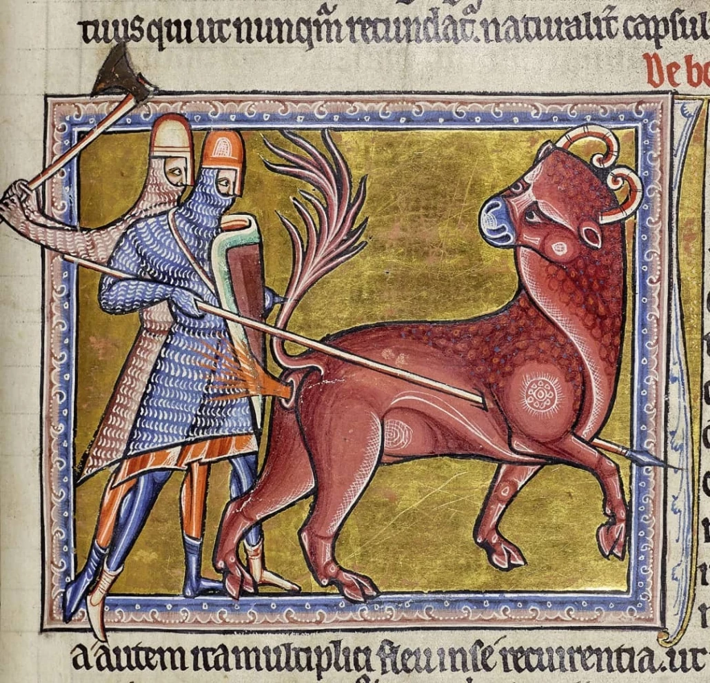 bonnacon2_1.jpg