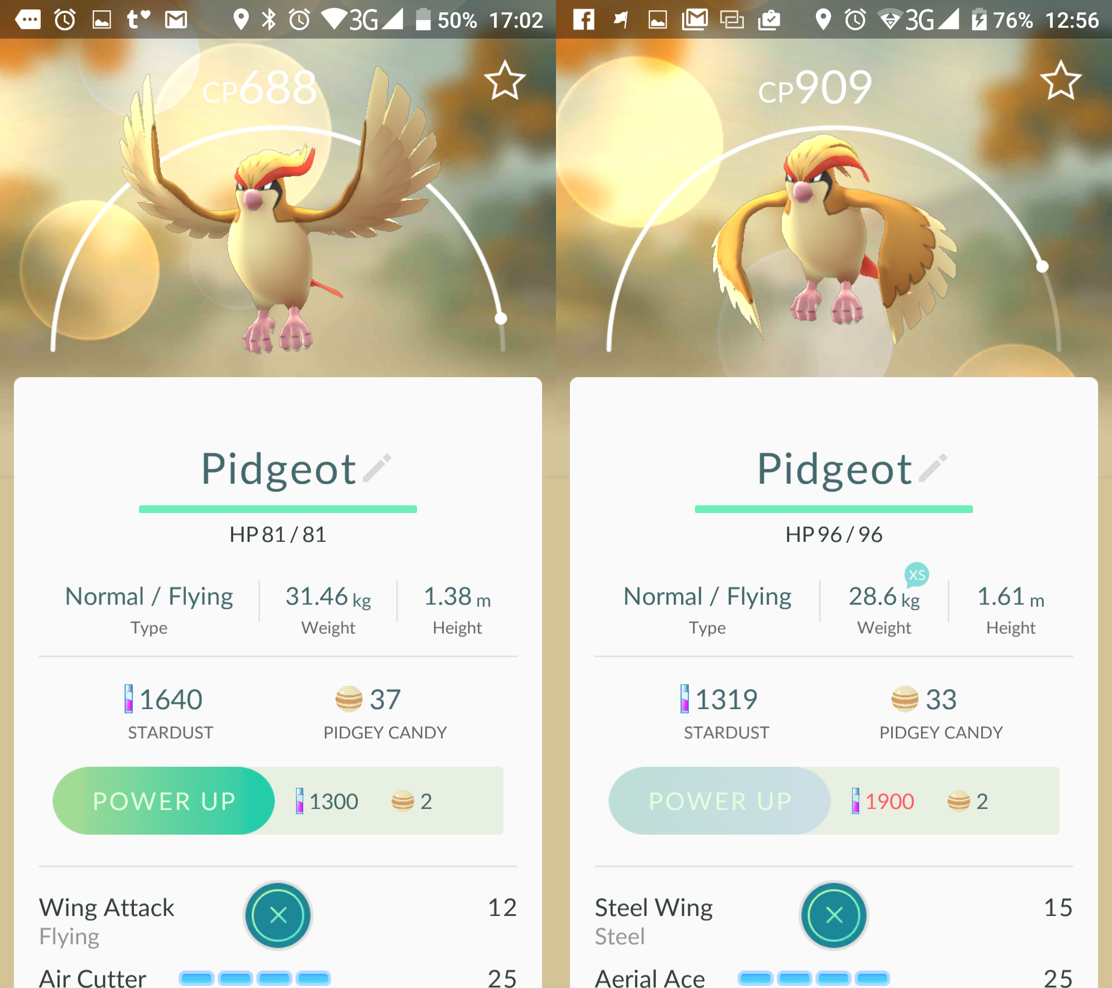 pidgeot.png