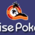 PokerSavvy termek ismertetője - Paradise Poker