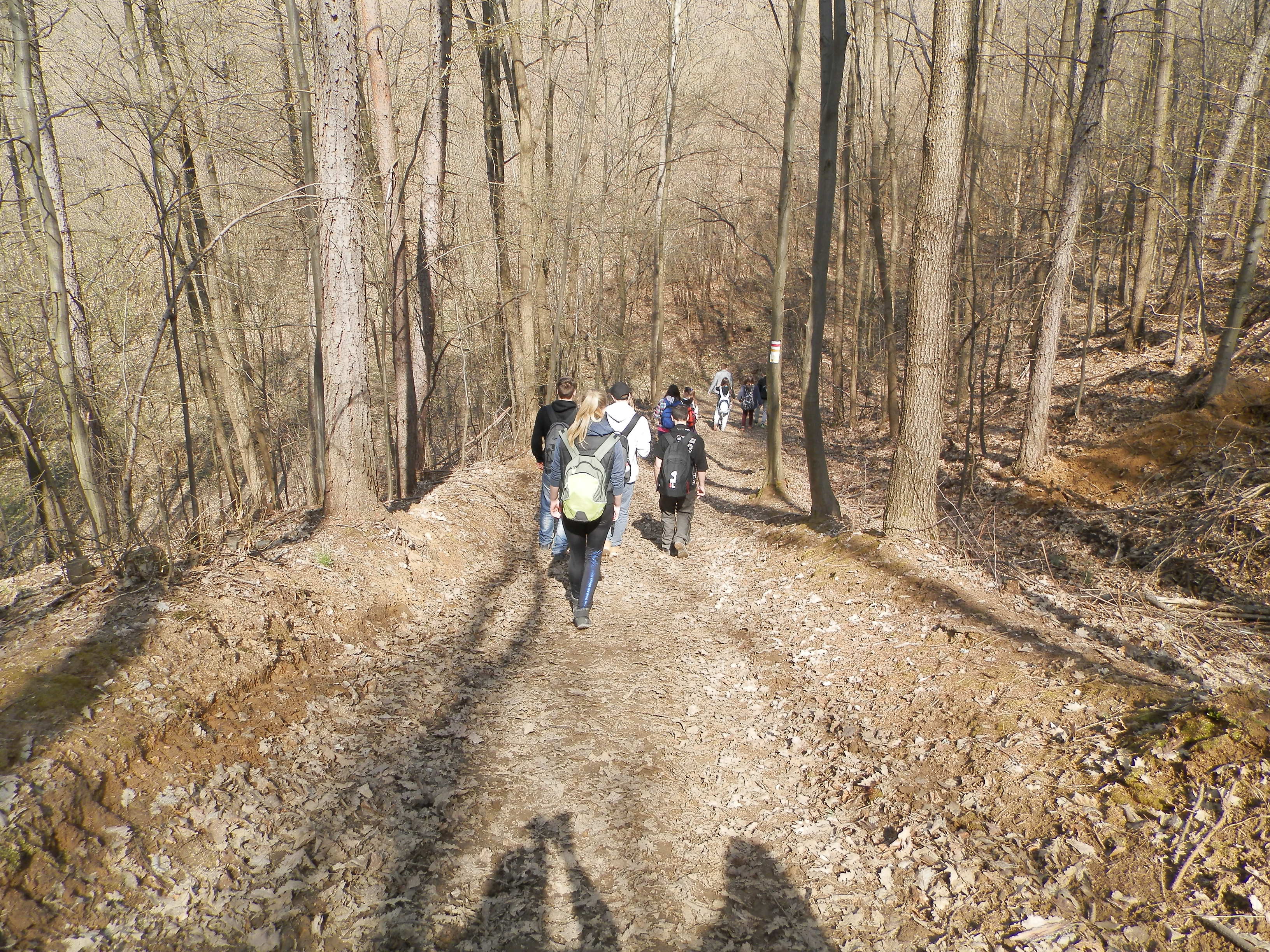p3290414.JPG