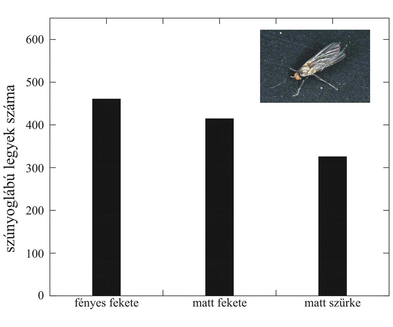 graph3.jpg