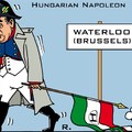 Hungarian Napoleon