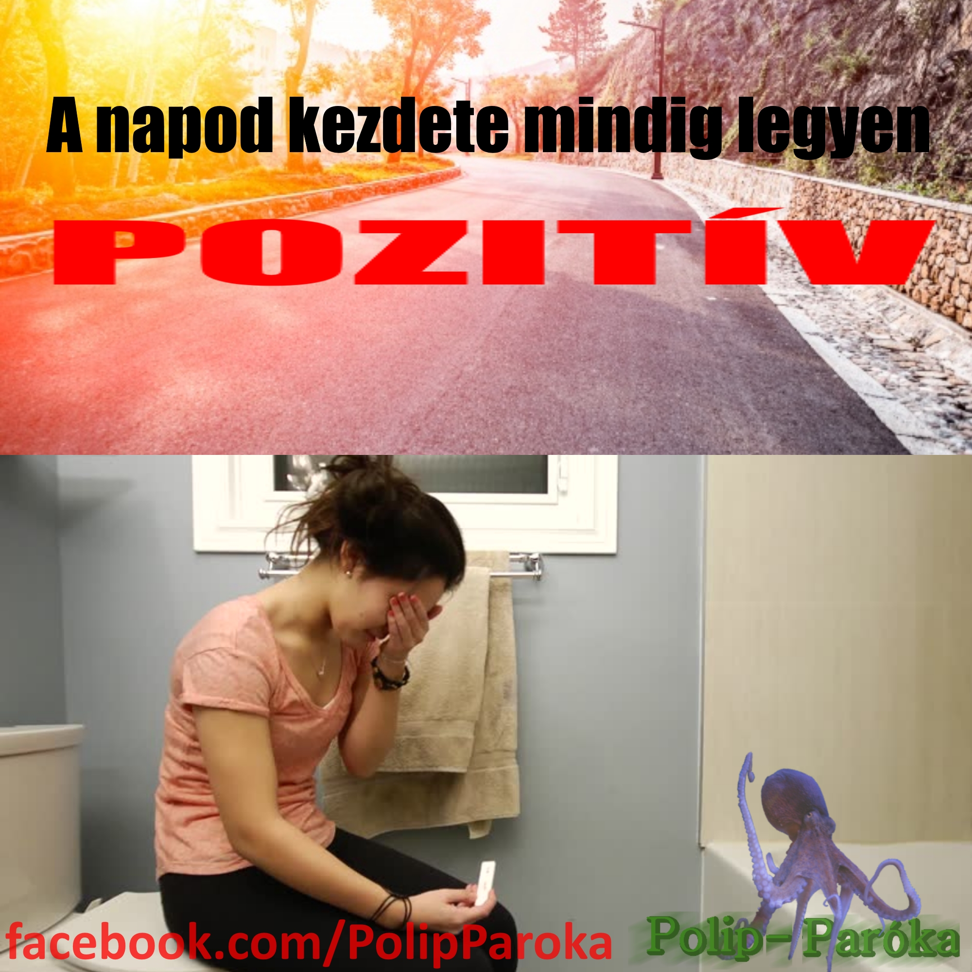 20180117pozitiv.jpg