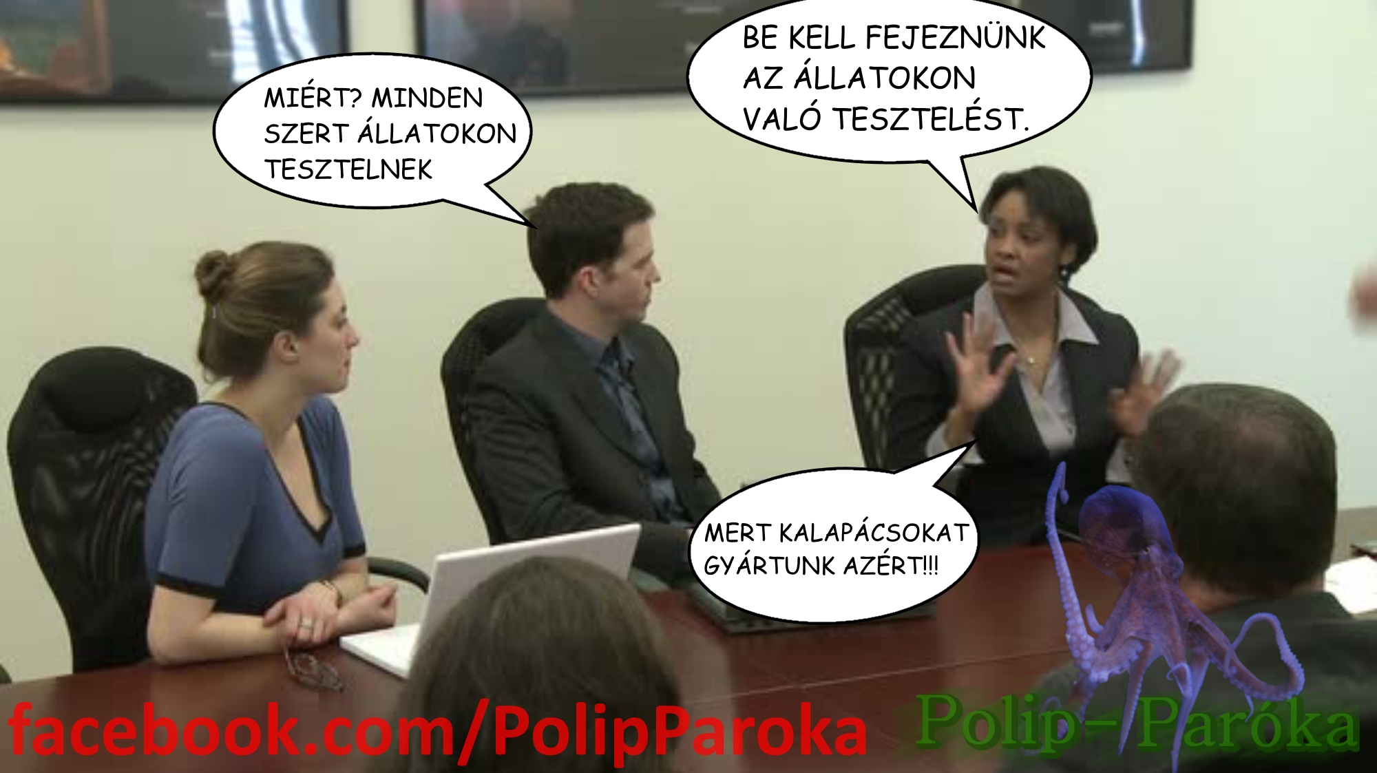 kalapacsospolip.jpg