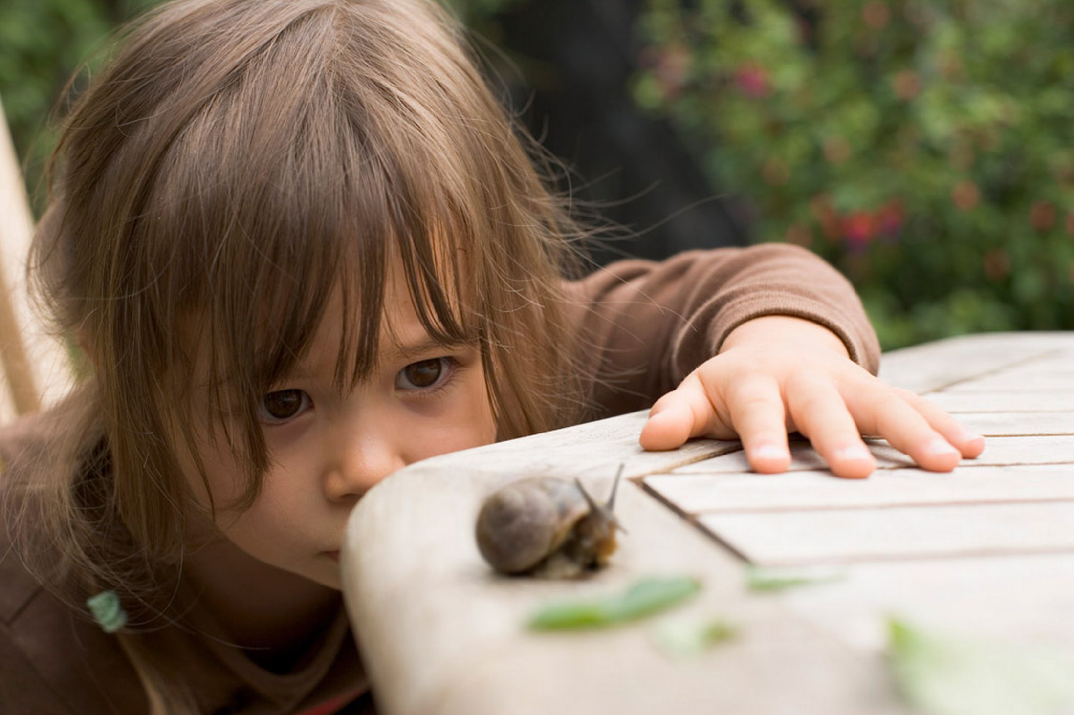 boy-2-4-watching-snail-on-garden-table-close-up.jpg