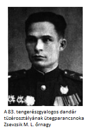 zsevzsik.png