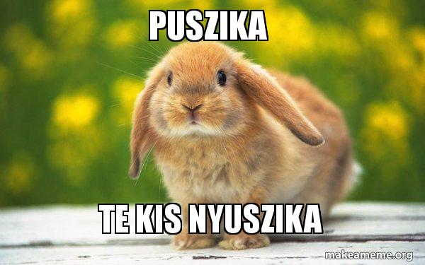 puszika-te.jpg