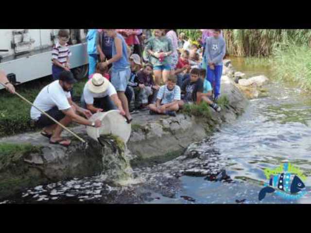 Tulipán Tibor interjú - PontyVelem 2016