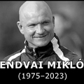 Felakasztotta magát a korábbi 23-szoros válogatott labdarúgó, Lendvai Miklós