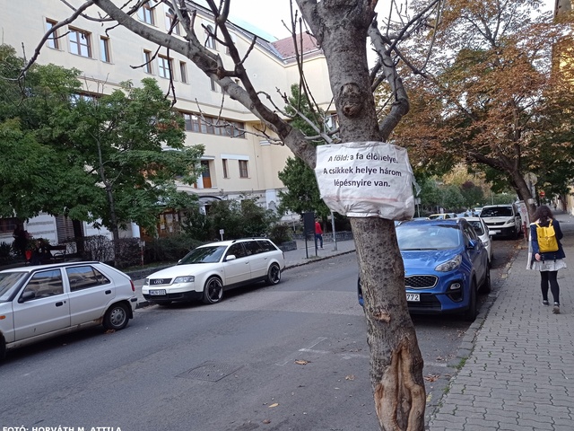 KÉPséges Budapest | 23. | Kék Golyó utca