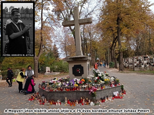 Április 15-én kísérik utolsó útjára Juhász Pétert