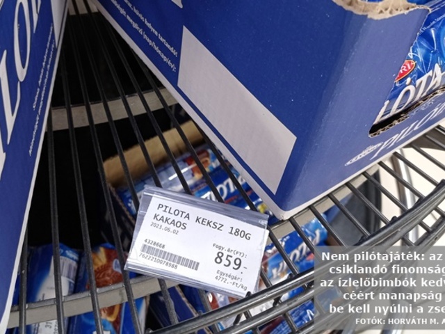 Szökőárban repülő Pilóta