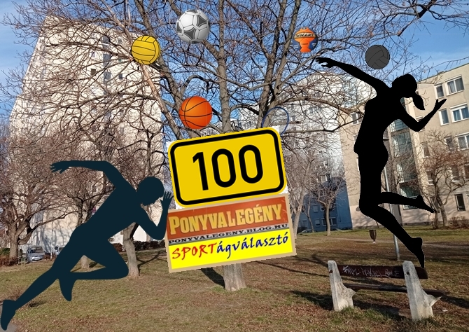 100_sportagvalaszto_kopf.jpg