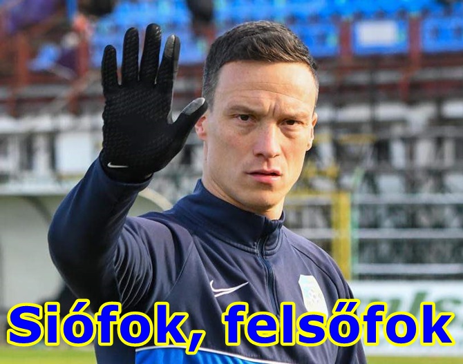 polinyi3.jpg