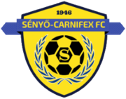 senyo_fc_logo.png