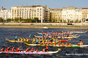 A Harvard diadalmaskodott a Dunai Regattán