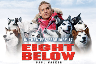 Eight Below - Kutyahideg (2006)