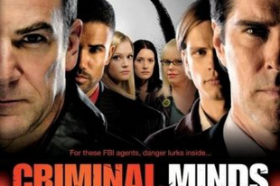 Gyilkos elmék - Criminal Minds 106-110