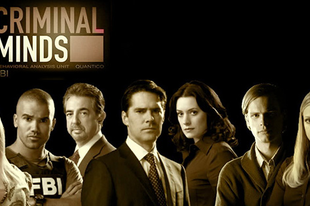 Gyilkos elmék - Criminal minds Season 6