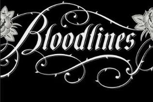 richelle mead bloodlines series