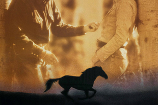 A suttogó - The Horse Whisperer (1998)