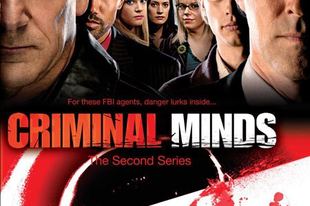 Gyilkos elmék - Criminal Minds - 2. évad