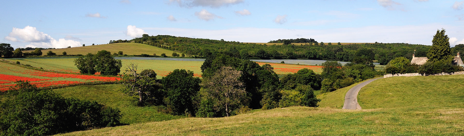 cotswolds_panorama_fields.jpg