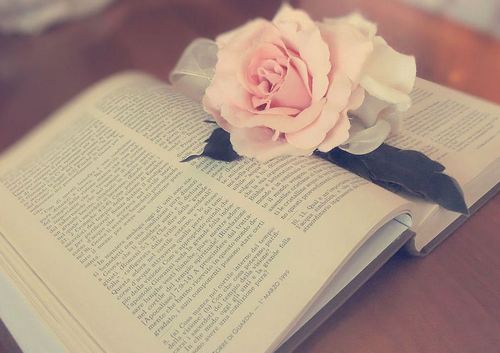 book_and_rose_by_ladyfatadudesons-d4wdclu.jpg