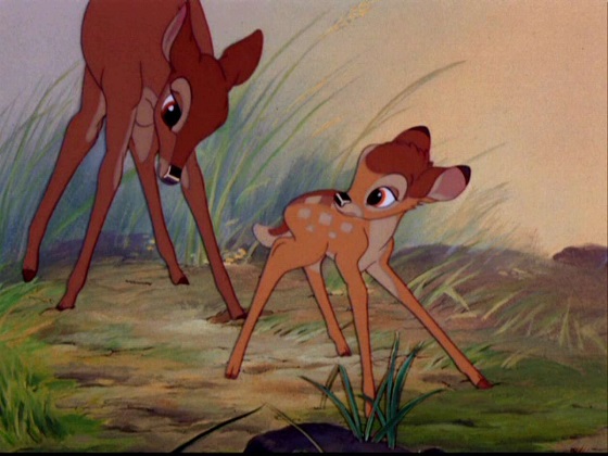 Bambi-bambi-5794144-1280-960.jpg