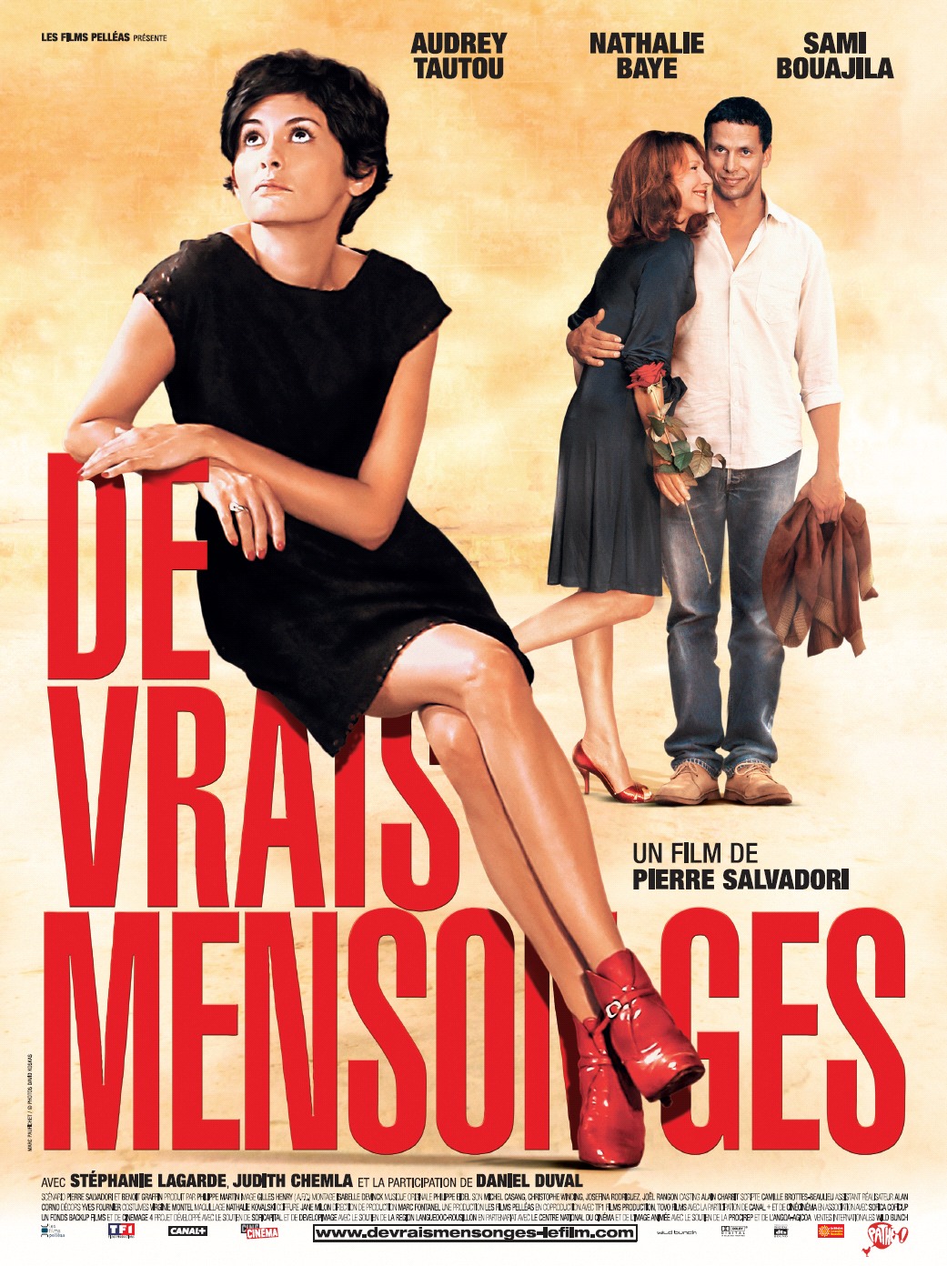 affiche-De-vrais-mensonges-2009-1.jpg