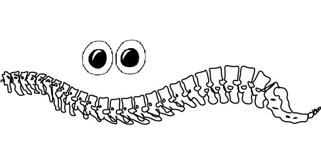 happy_spine.jpg