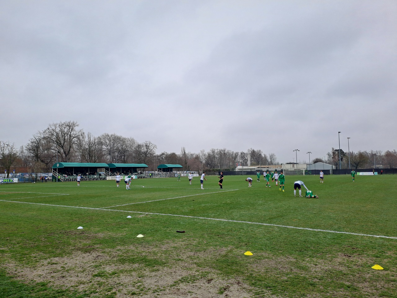 20250316_134313.jpg