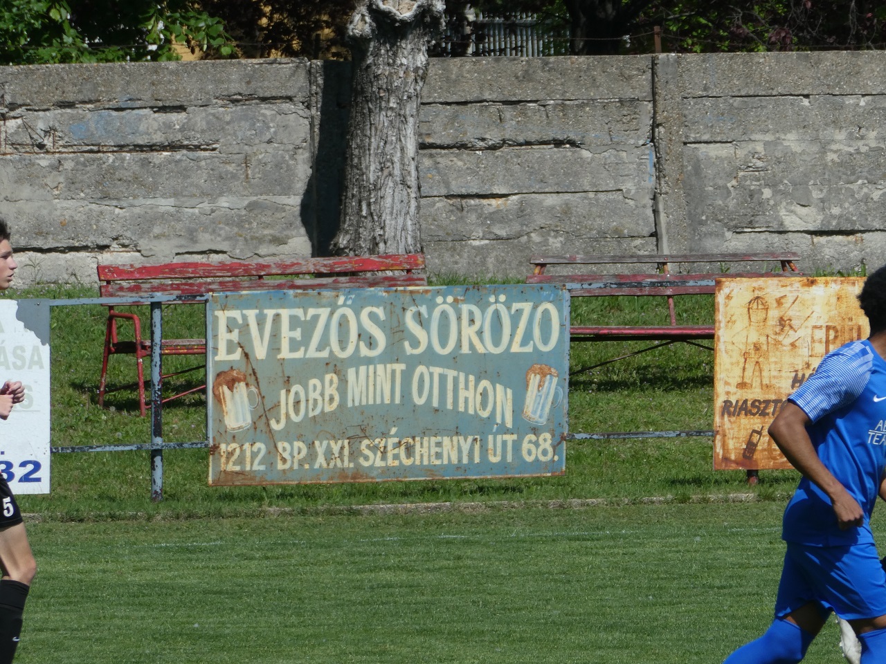 p1100377.JPG