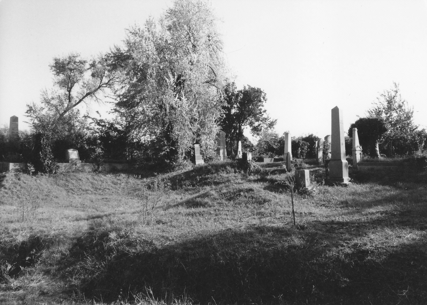 csend_foszog51_1.jpg
