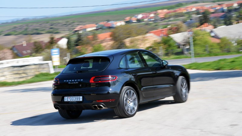 macan5.JPG