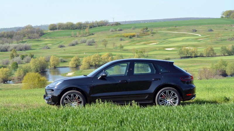 macan7.JPG