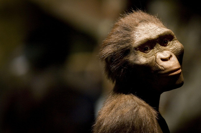 20161214australopithecus.jpg