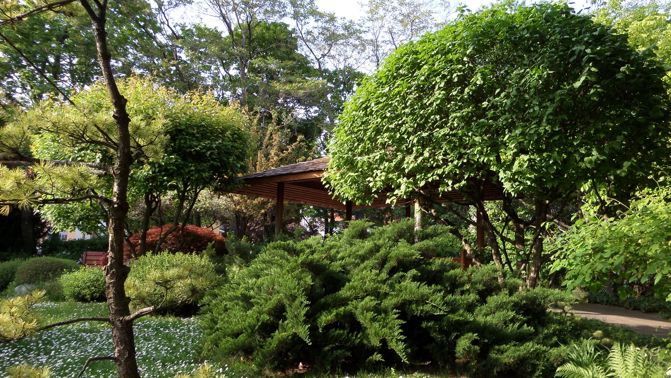 Setagaya garten