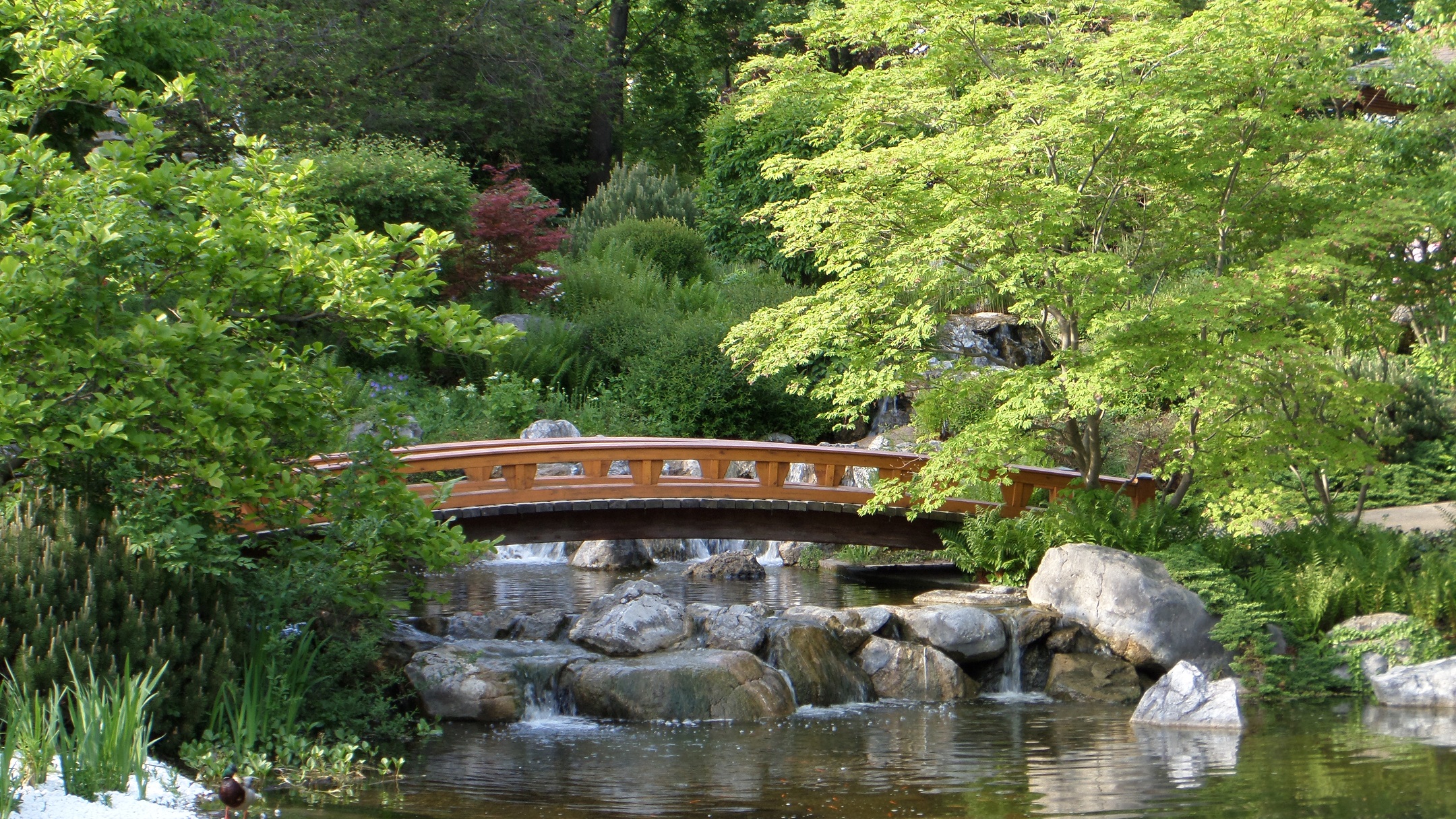 Setagaya garten