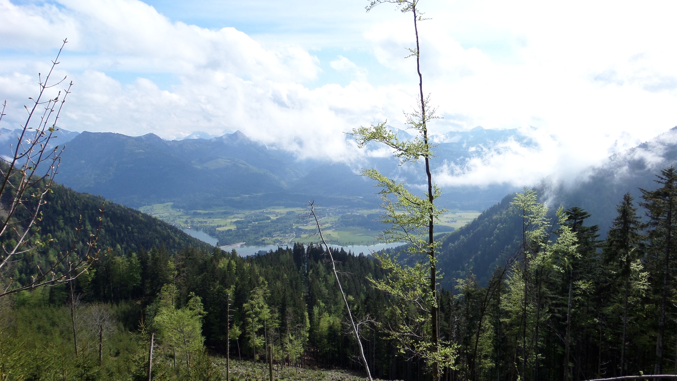 Wolfgangsee