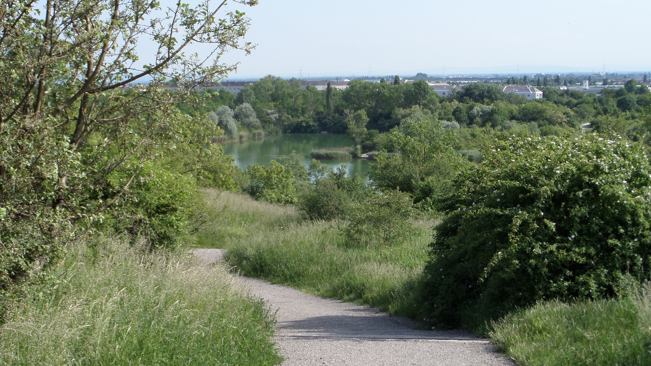 Erholungsgebiet Wienerberg