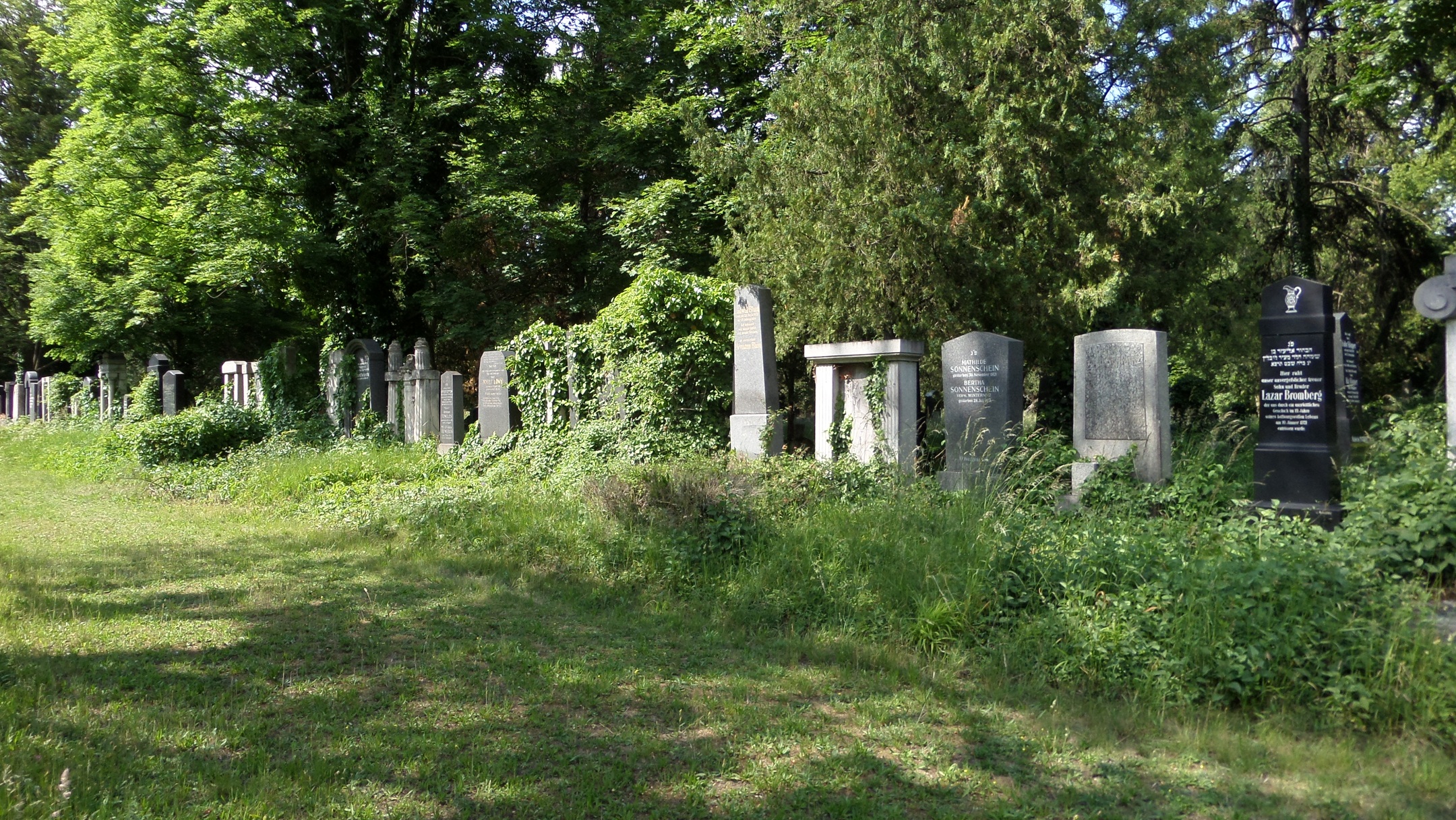 Régi zsidó temető