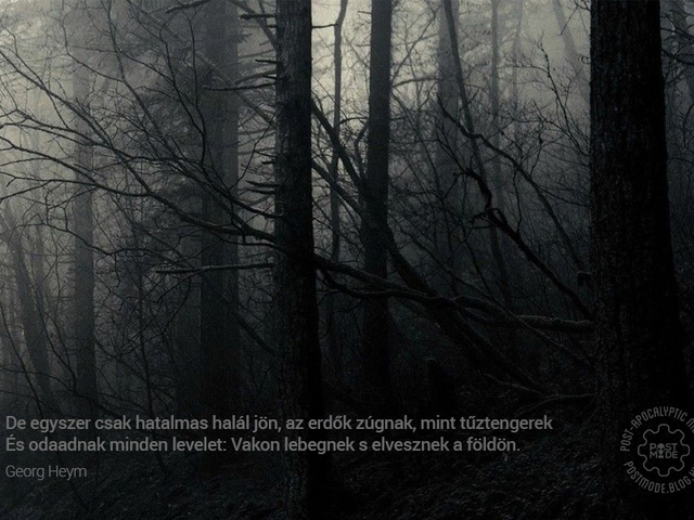 Az apokalipszis lírája