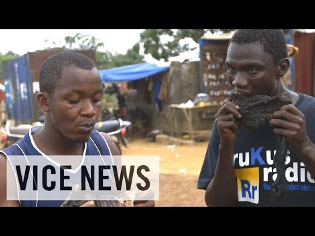Tudósítások Nyugat-Afrikából