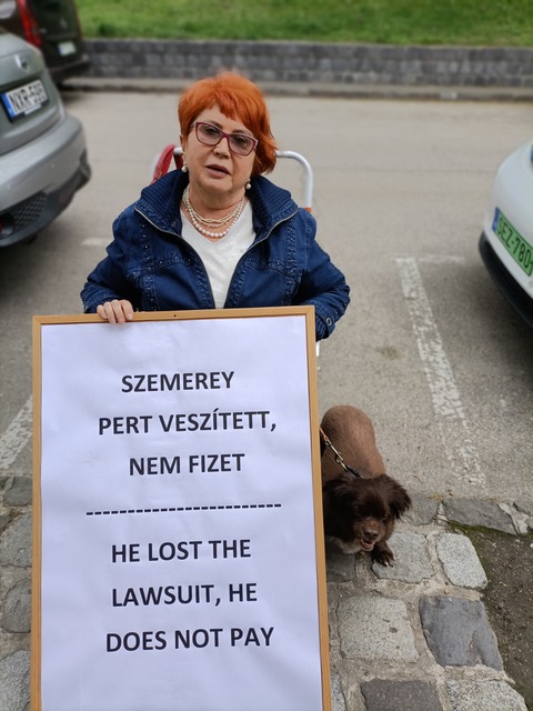 demo1.jpeg