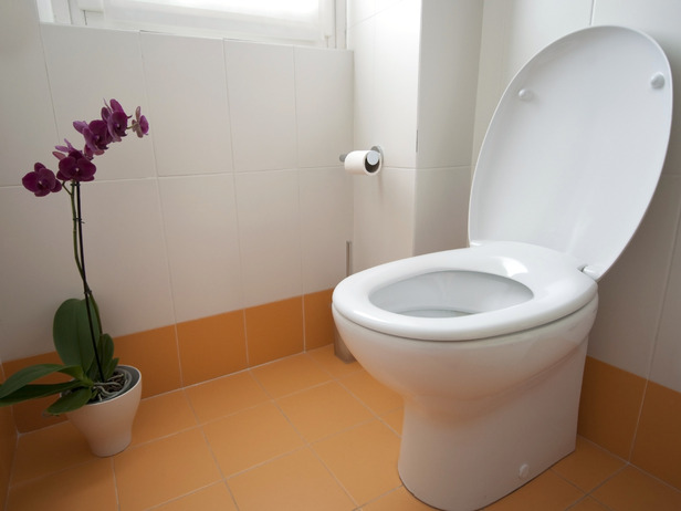 iStock-13234958_toilet-orchid-orange-tile_s4x3_lg.jpg
